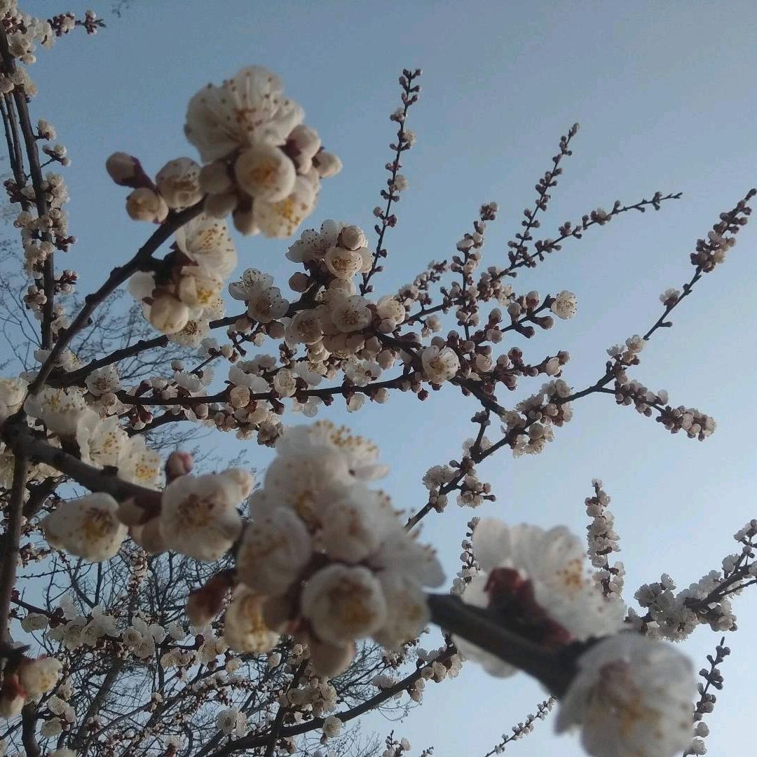 用户263872月光哥