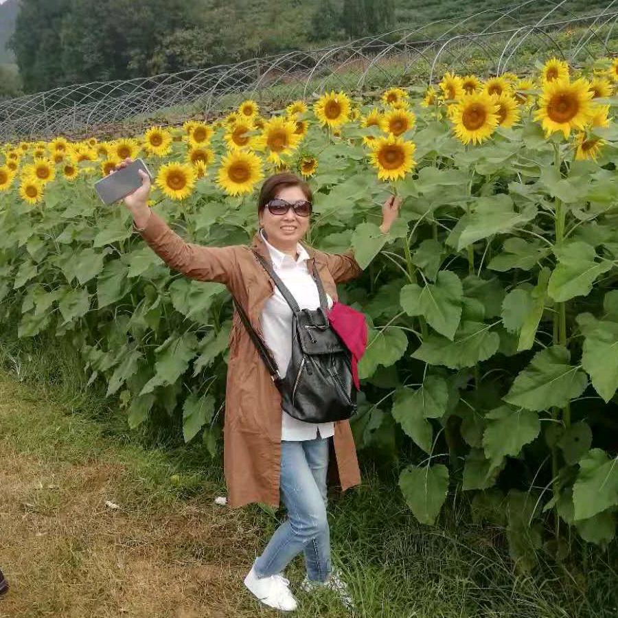 平安快乐