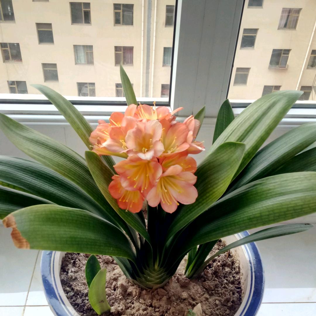 俊明水暖电太阳能