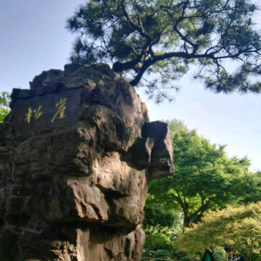 拂晓后的阳光
