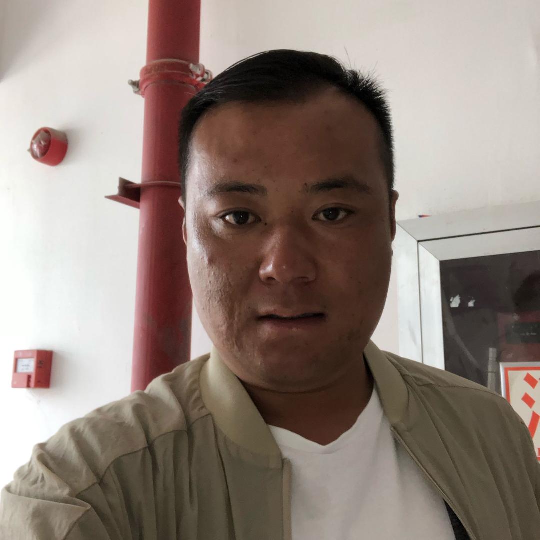 麦冬王松