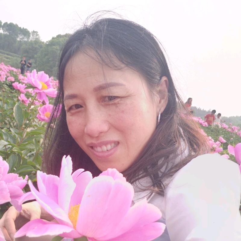 含羞草