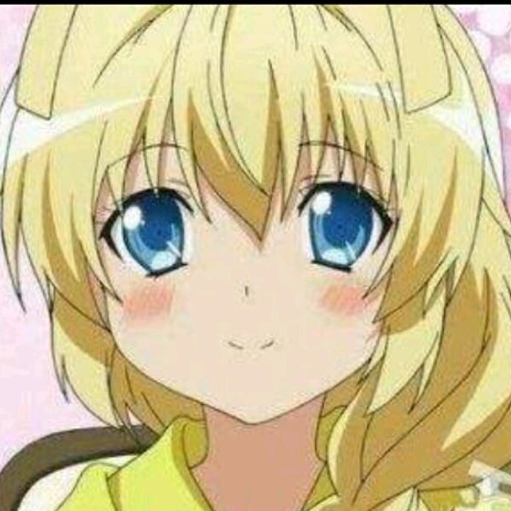 猫咪老师
