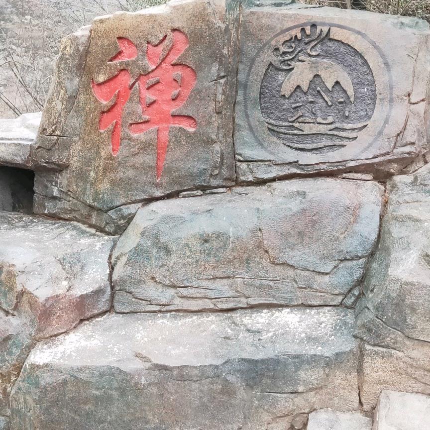 可乐@不可