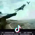 刘家大姐