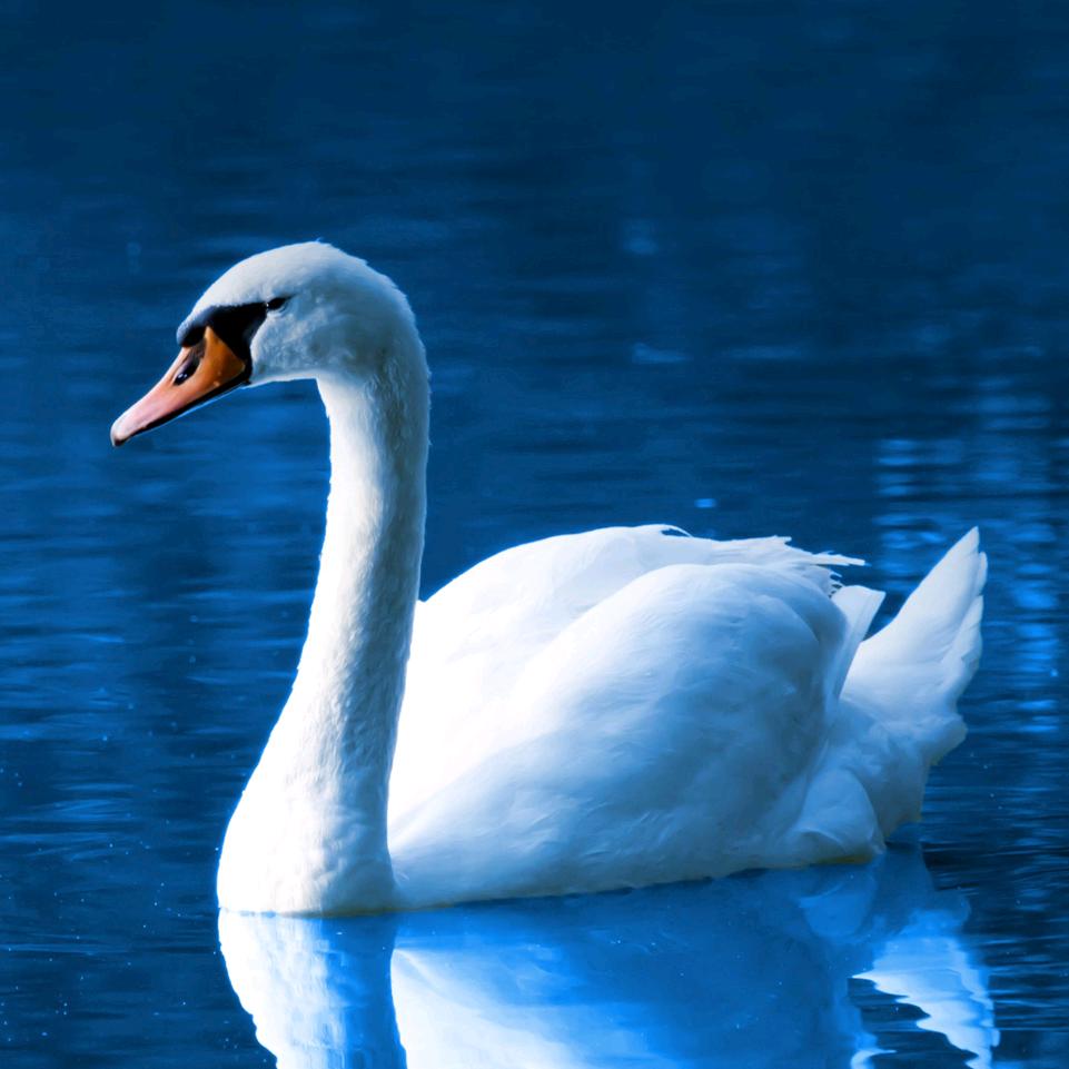 ！！！！！！！185