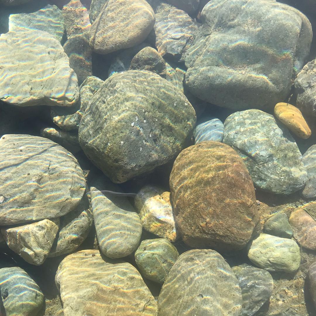 @景谊木业    超