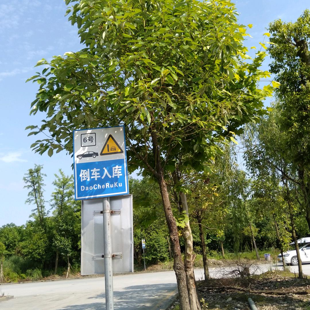 黑金刚黑教练