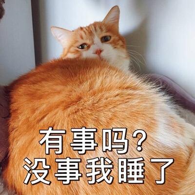 生活的现实