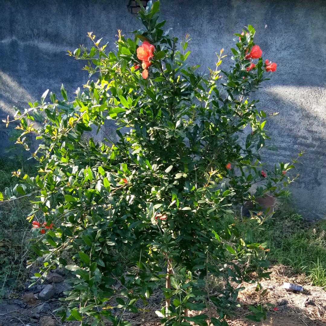 美好未来😃😃😃