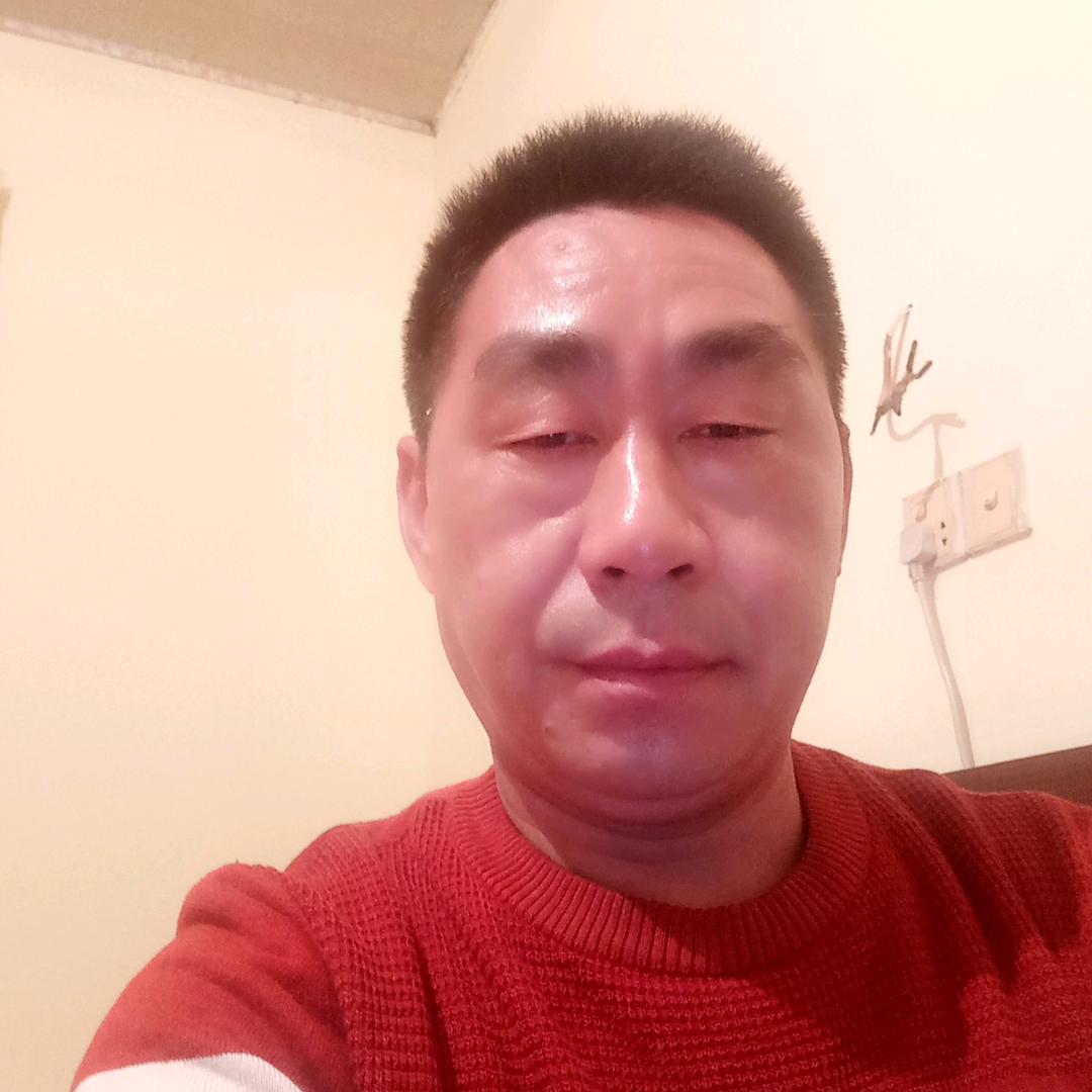 三哥传奇骆驼马