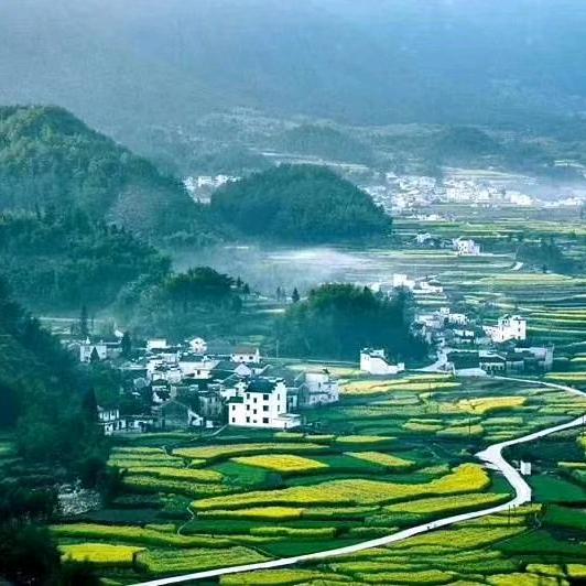 老虎队