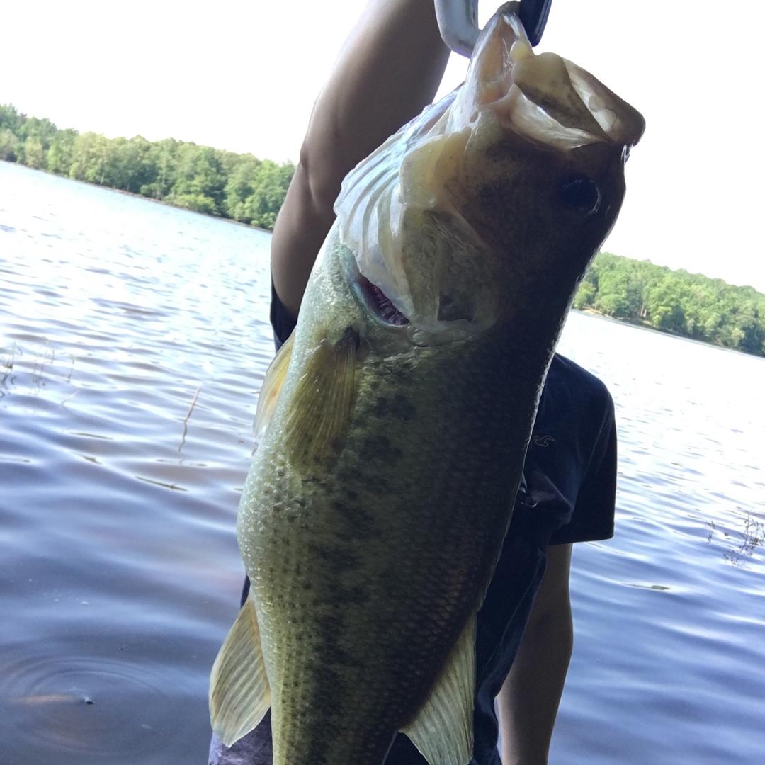 peterfishing