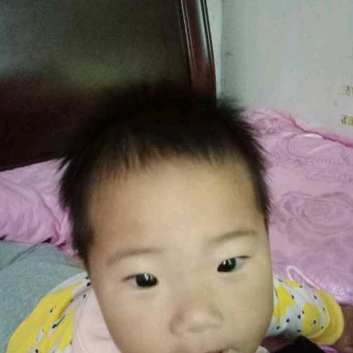 琪