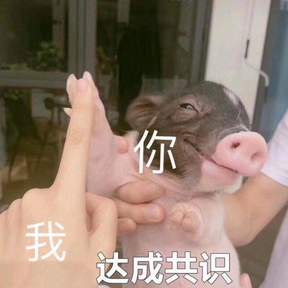 犇犇向前冲