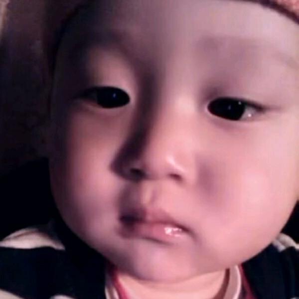 L李冬