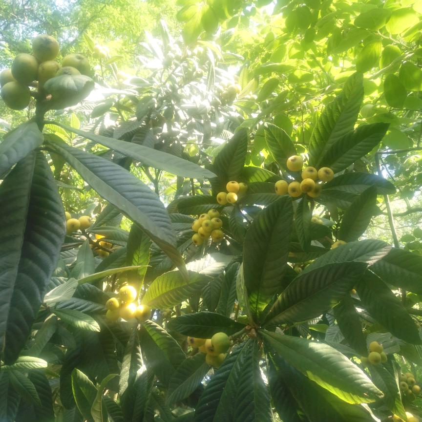乐人码头悬空飞行影院