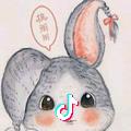 小兔兔