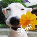 得驾儿～