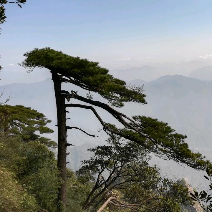 小松松，，，