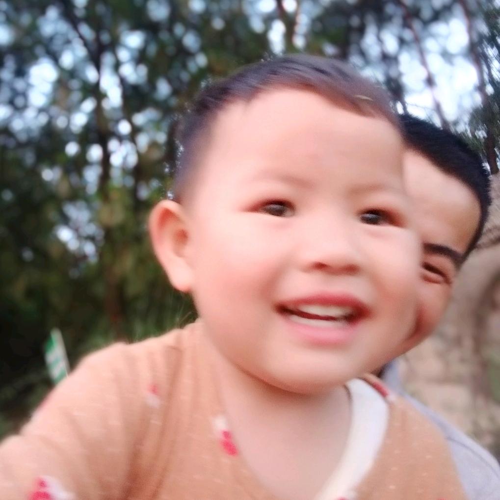 晓朱