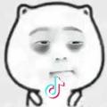 zzh          -