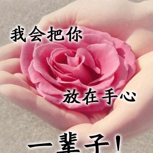 随❤