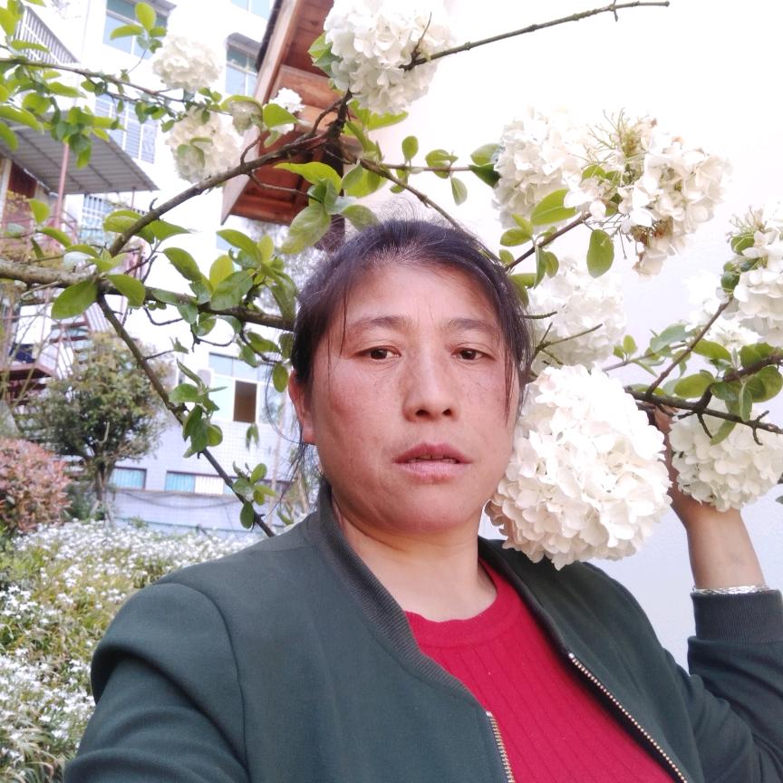 山歌一姐