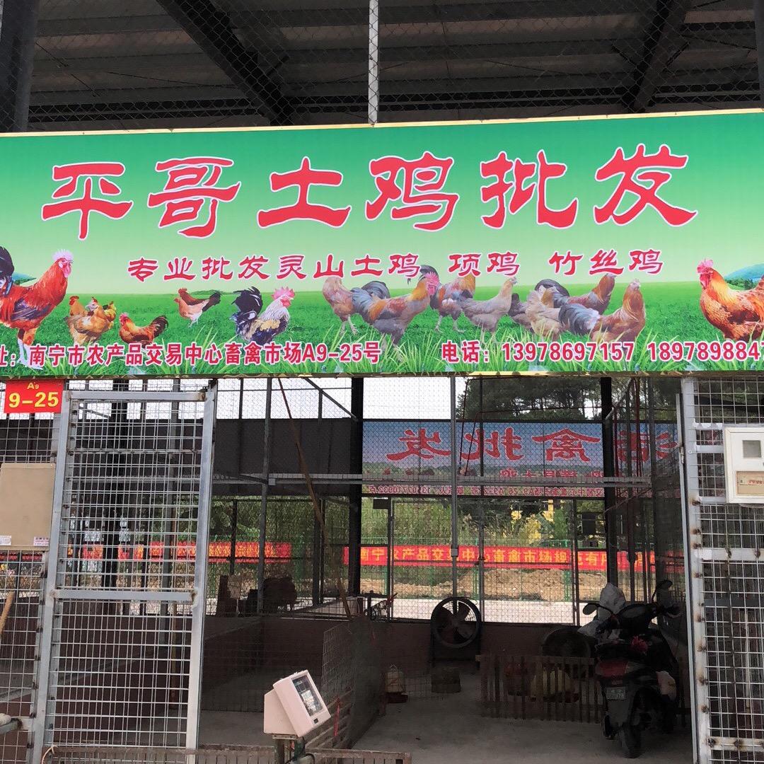 愤怒的小鸡