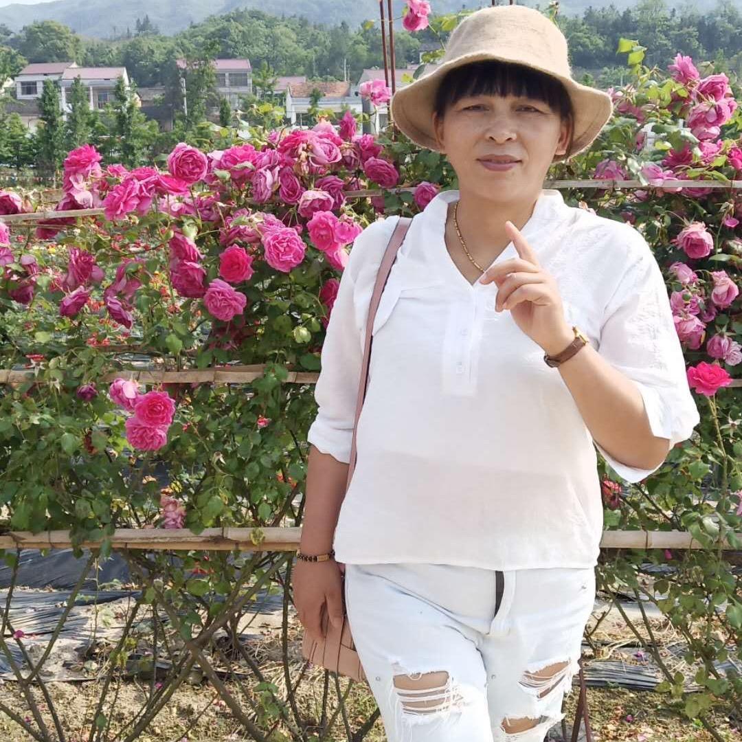 晓春zxc
