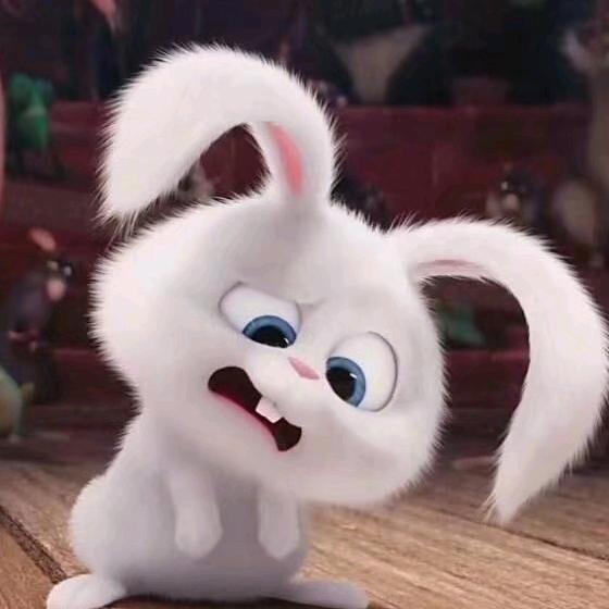 猴小乐