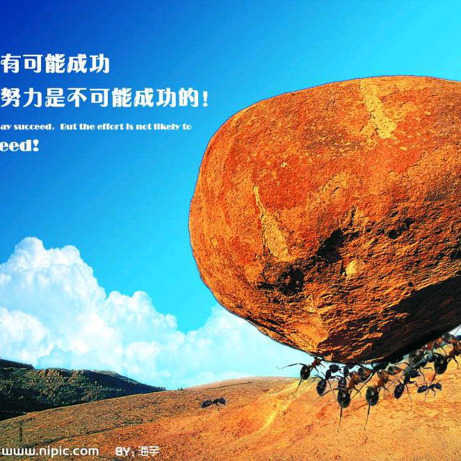 先锋*鲜花*喜铺*蛋糕