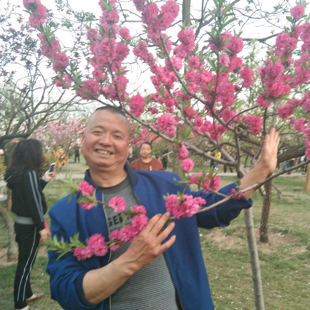 杨林仓凤翔县，彪角镇三龙村二组