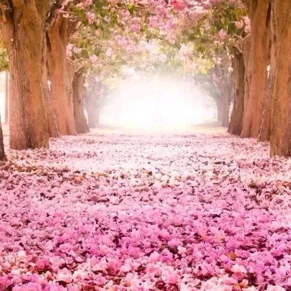 🍀 有你真好  🌺