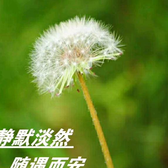 水云间