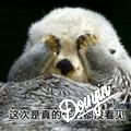 进来看看