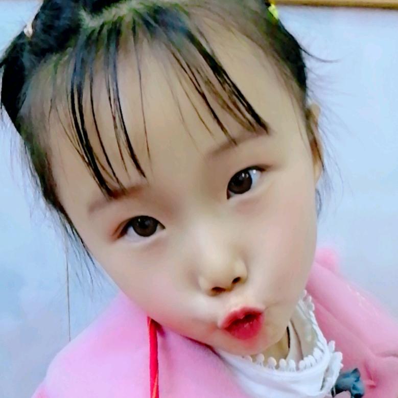 小学本科