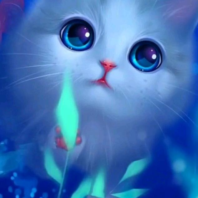 你给的糖很苦！🍄