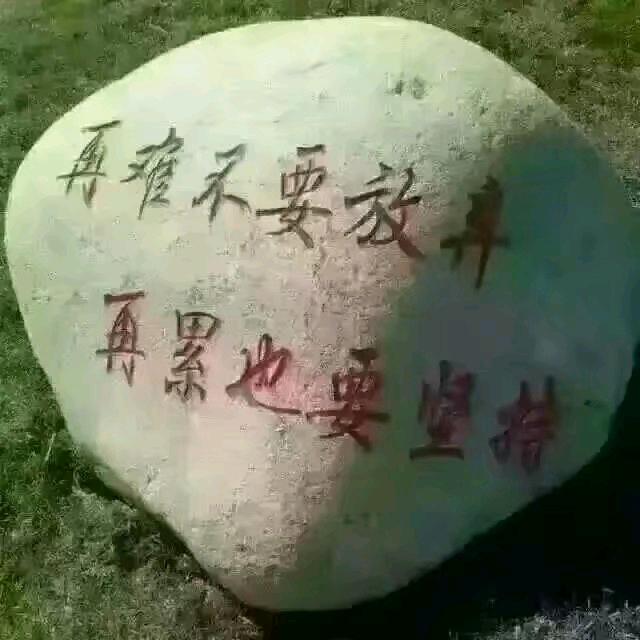 泥鳅哥哥
