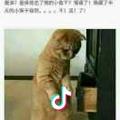 花看半開