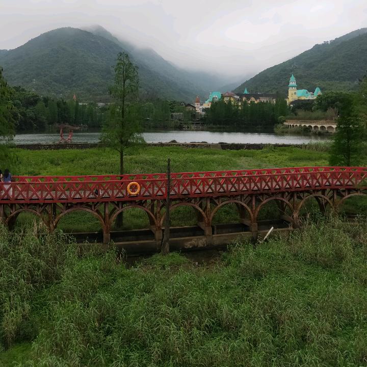 同城旺哥