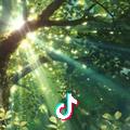 青春不散场☀