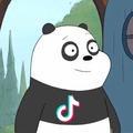 有求必应