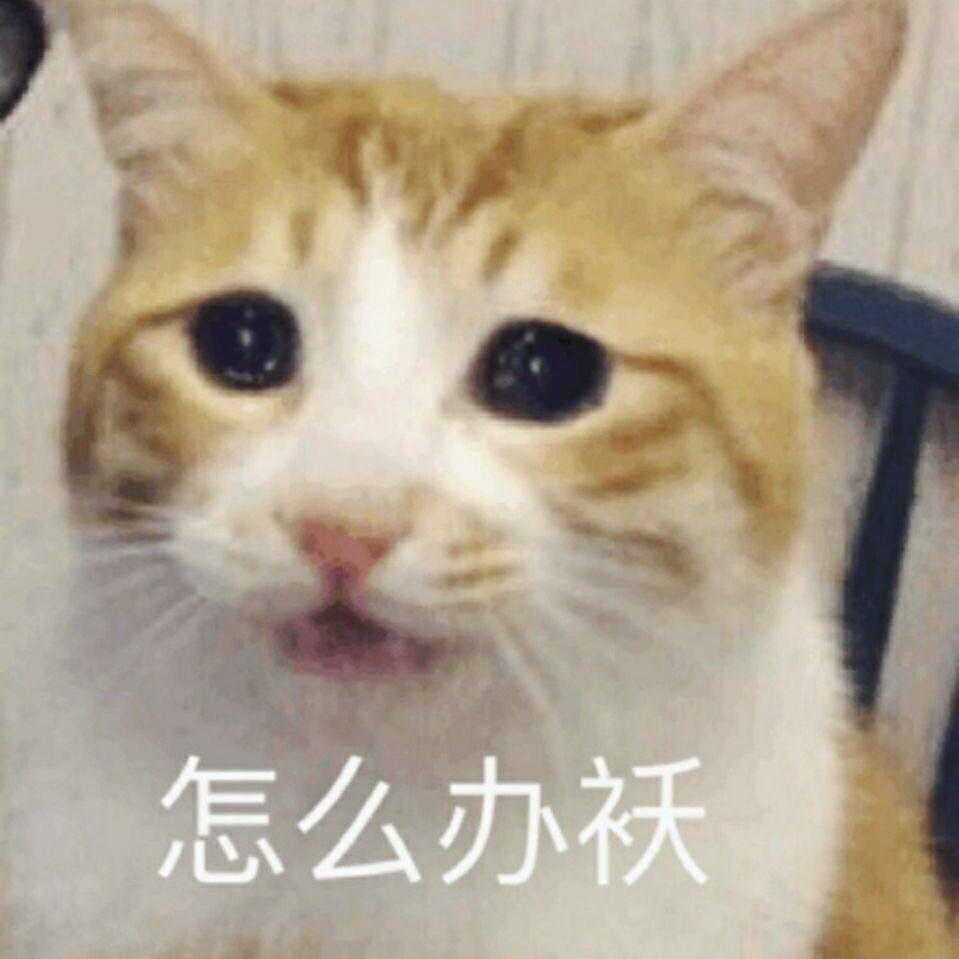 刘一二