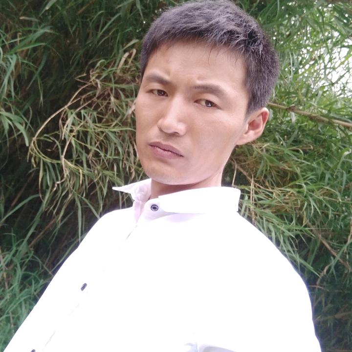 杨红8572417389302