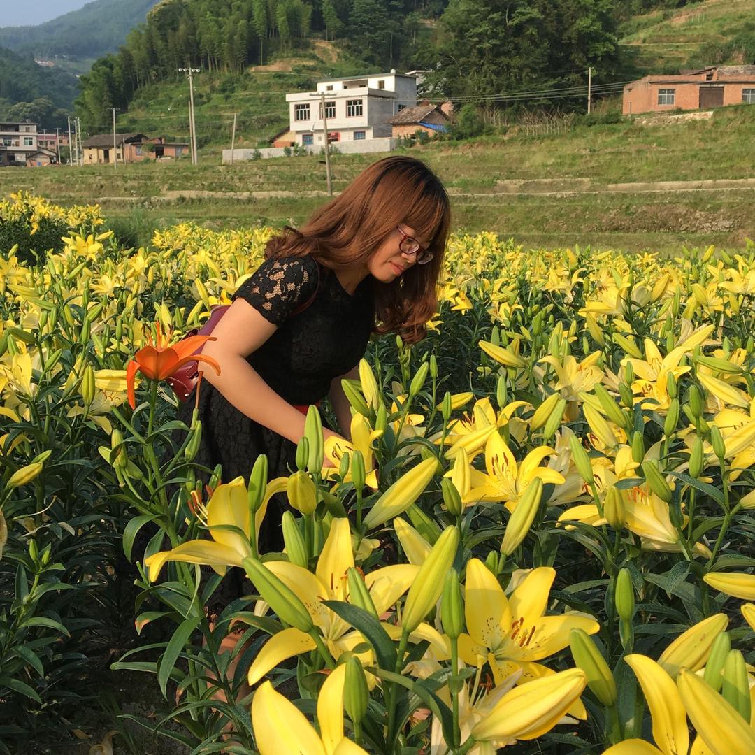 李子七七