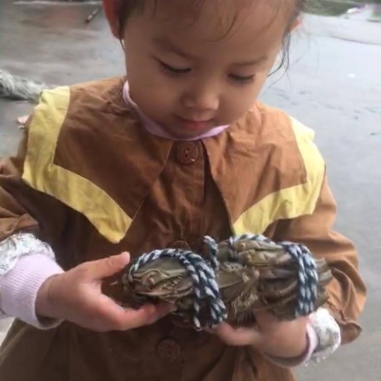 少塘主
