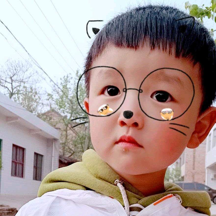 🦮小范平菇种植批发🚅