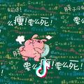 独家记忆