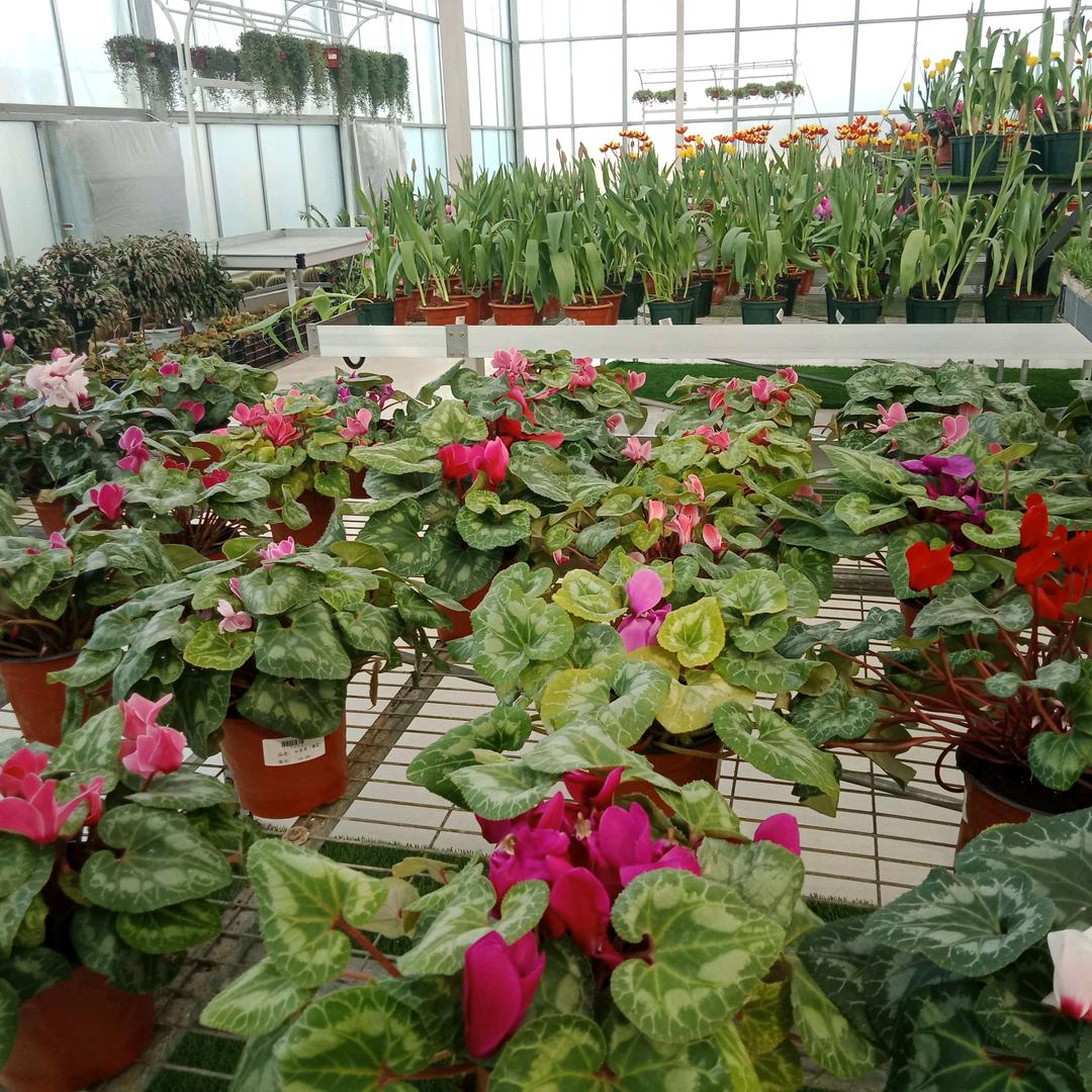 雨过天晴专业批墙